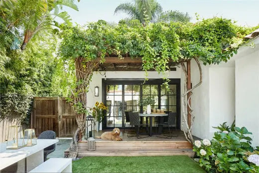 Elevate Outdoor Entertaining with Perfect Patio