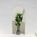 Artificial Monstera Tree 70" - Teak Warehouse