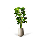 70-inch artificial wild taro tree with green leaves