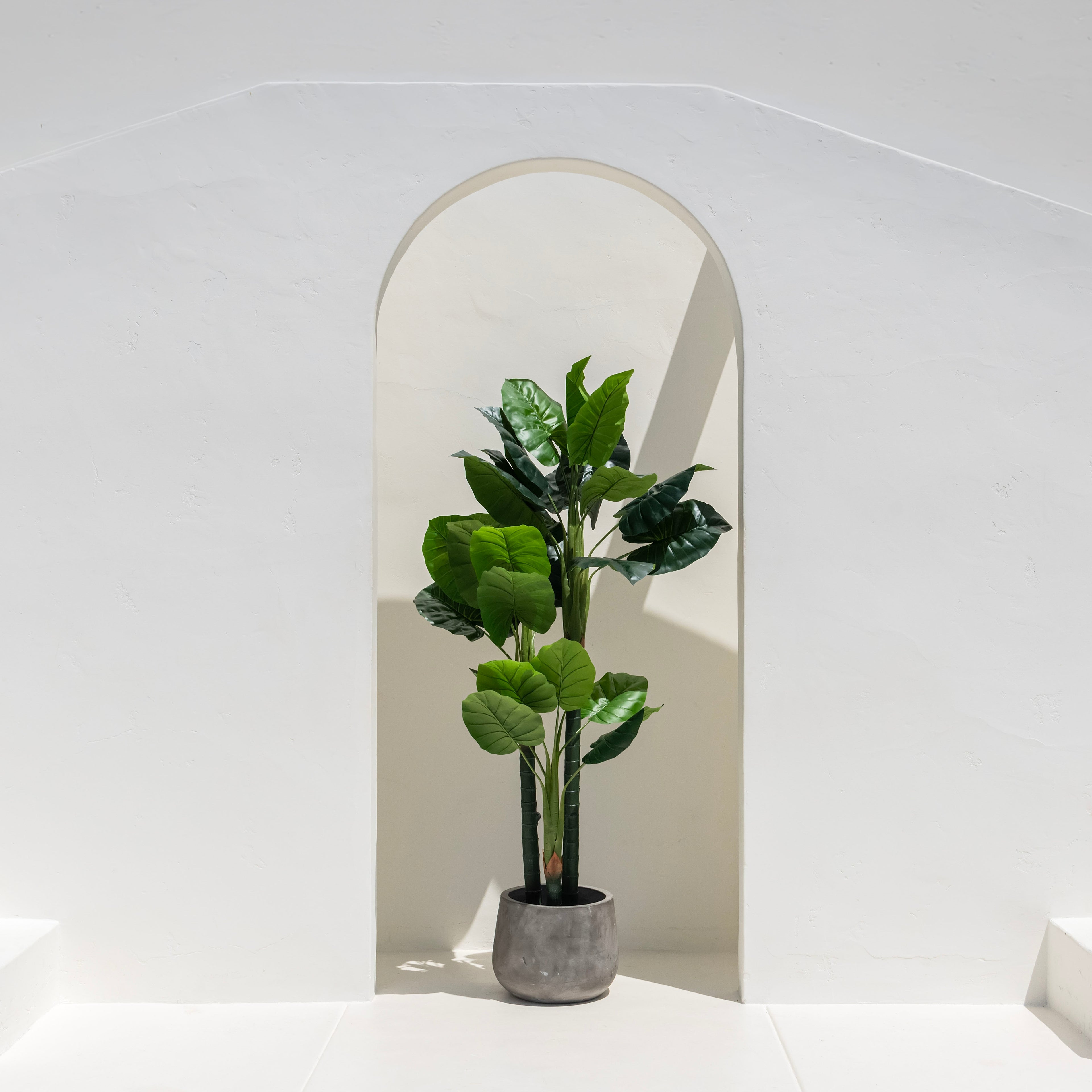 70-inch artificial wild taro tree in gray planter