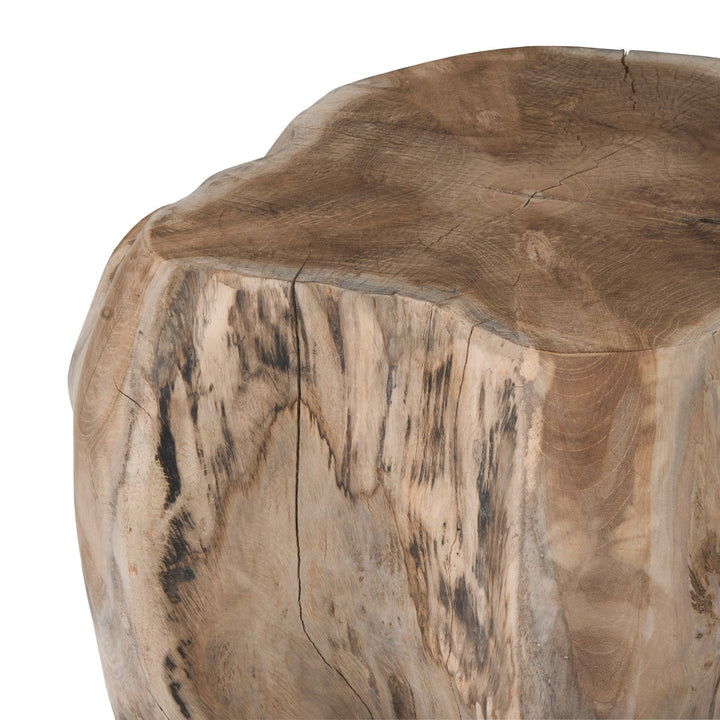 A natural wooden stump displays intricate wood grain patterns with cracks, resting on a plain white background, highlighting its rustic texture and organic shape.