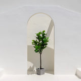 Artificial Fiddle Leaf Tree 67" - Teak Warehouse