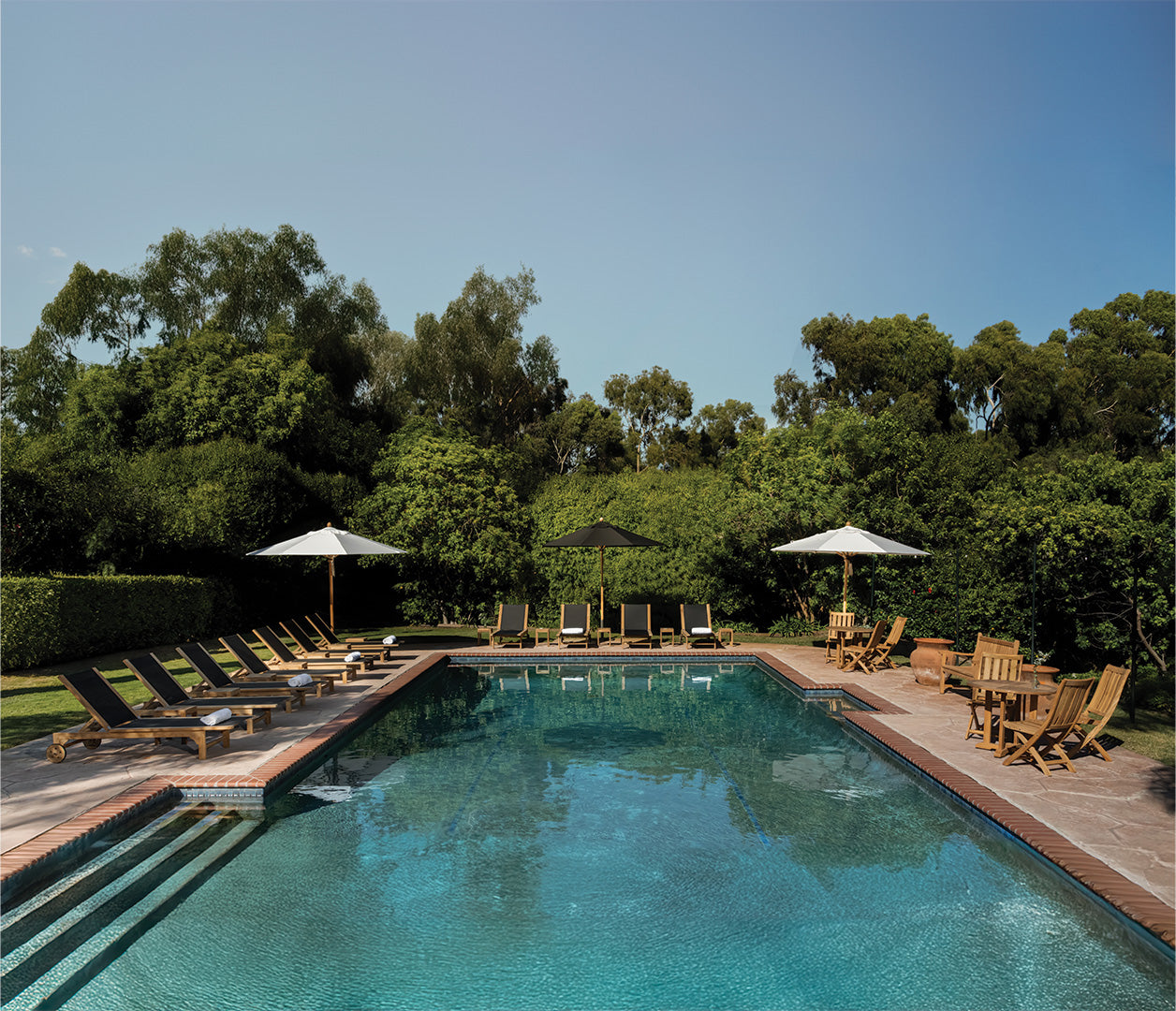 A swimming pool is surrounded by lounge chairs and umbrellas, set in a lush garden with tall trees and clear blue skies.