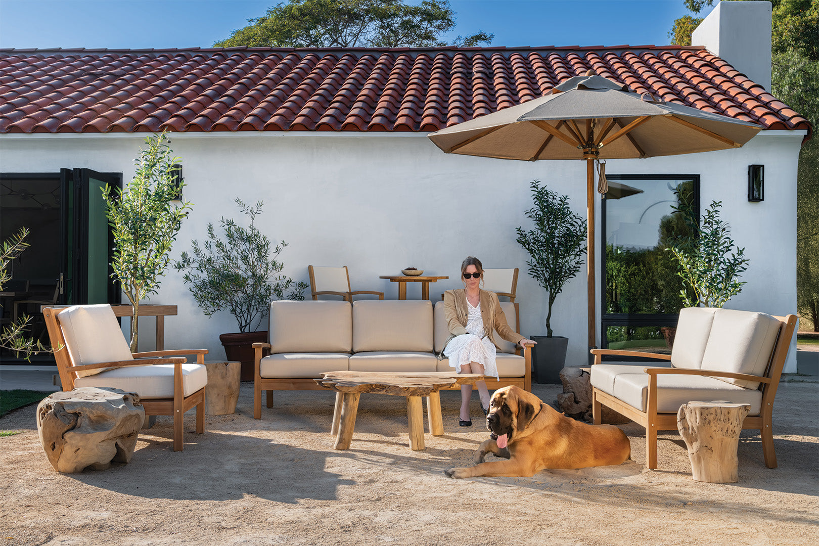 A person sits on a patio sofa next to a large dog, surrounded by wooden furniture and plants. An umbrella provides shade, and a house with a red-tiled roof is in the background.