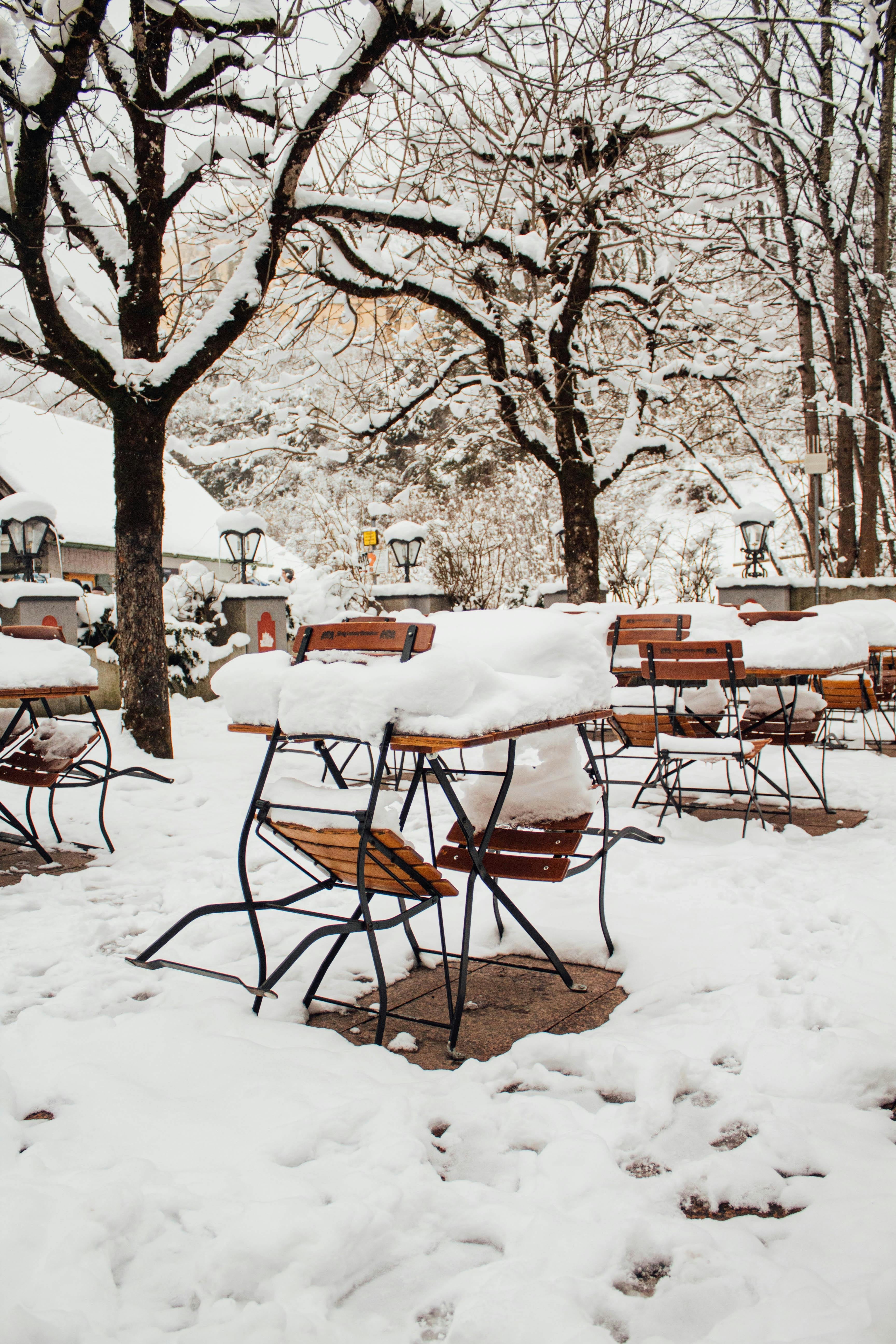 Wooden tables and chairs are covered with thick snow, surrounded by snow-laden trees in a wintry outdoor setting. It appears serene and undisturbed, creating a peaceful atmosphere.