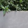 raw concrete planter tapered closeup view