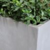 raw concrete planter rectangle closeup