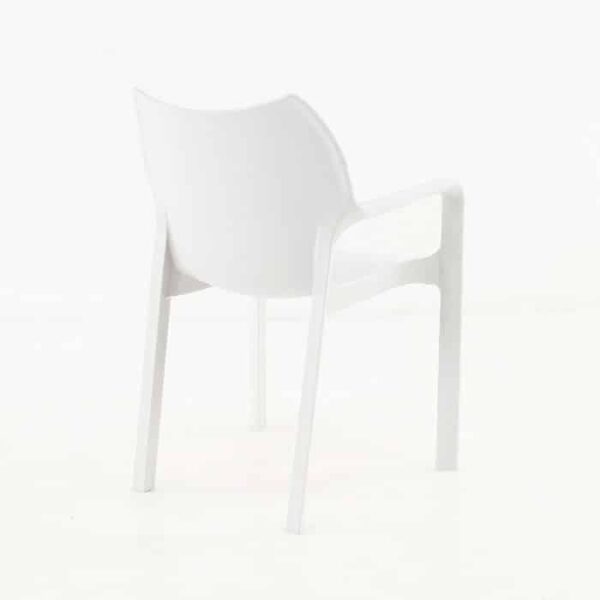 Cafe Dining Chair white back view
